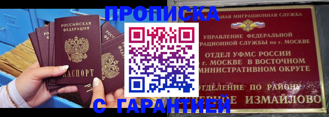 прописка поиск в Алейске